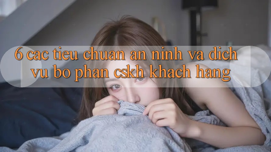 6. Các Tiêu Chuẩn An ninh Và Dịch Vụ Bộ phận CSKH Khách Hàng