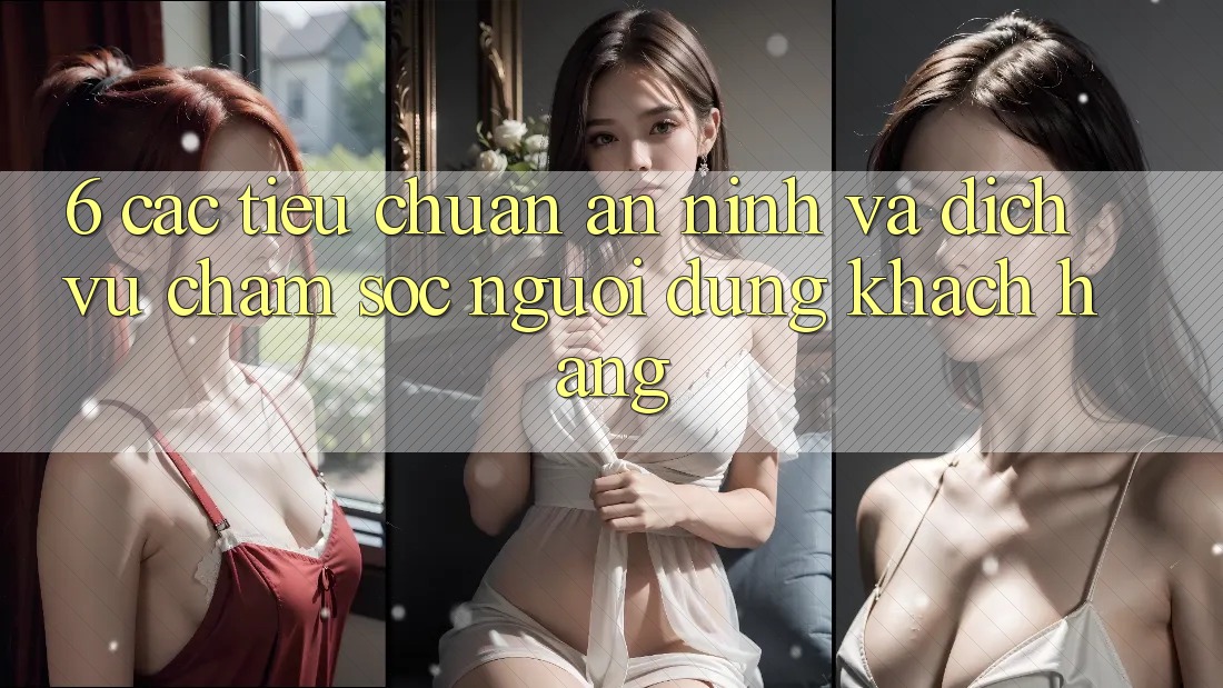 6. Các Tiêu Chuẩn An ninh Và Dịch Vụ Chăm sóc người dùng Khách Hàng