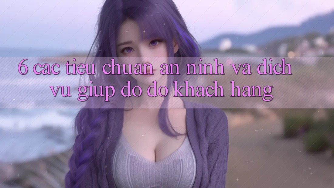 6. Các Tiêu Chuẩn An ninh Và Dịch Vụ Giúp đỡ đỡ Khách hàng