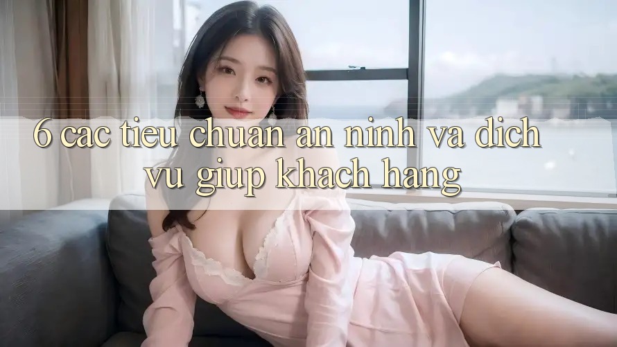6. Các Tiêu Chuẩn An ninh Và Dịch Vụ Giúp Khách Hàng