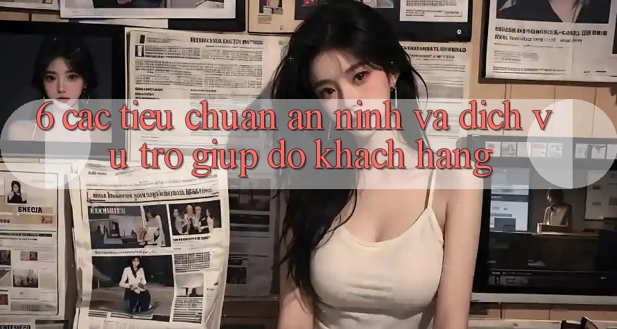 6. Các Tiêu Chuẩn An ninh Và Dịch Vụ Trợ giúp đỡ Khách Hàng