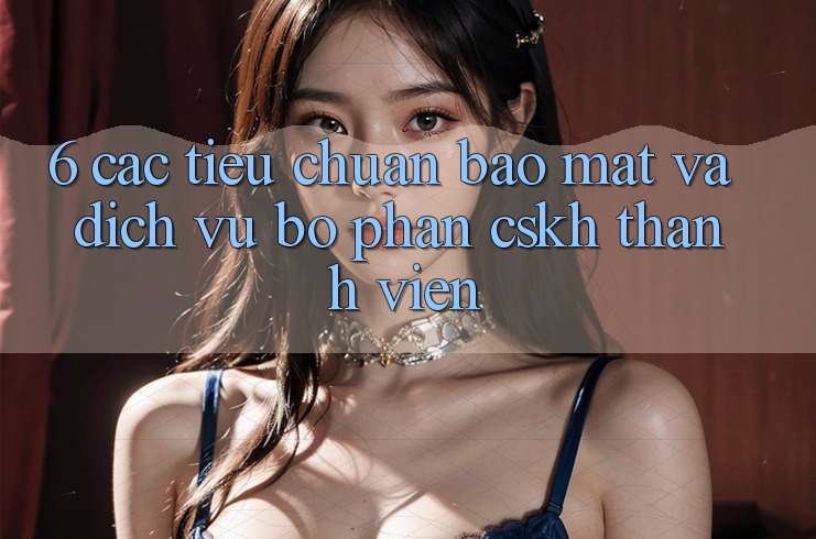 6. Các Tiêu Chuẩn Bảo Mật Và Dịch Vụ Bộ phận CSKH Thành viên