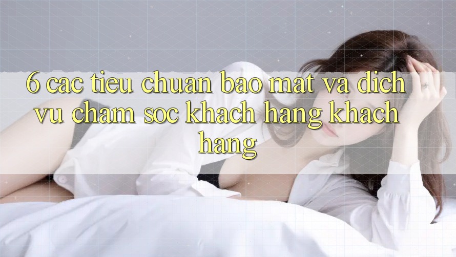 6. Các Tiêu Chuẩn Bảo Mật Và Dịch Vụ Chăm sóc khách hàng Khách Hàng