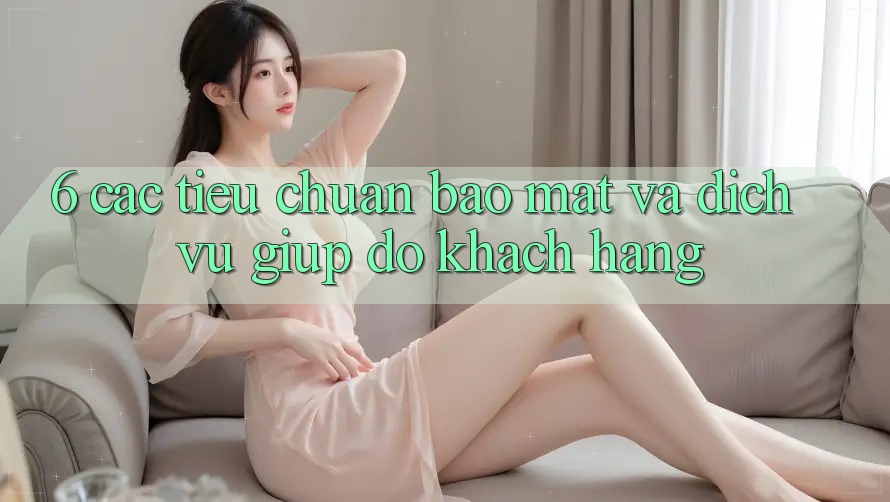 6. Các Tiêu Chuẩn Bảo Mật Và Dịch Vụ Giúp đỡ Khách Hàng