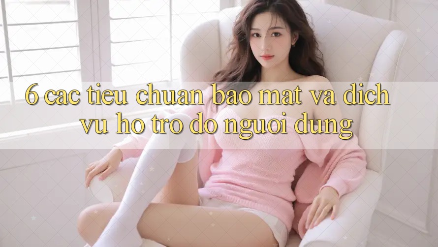 6. Các Tiêu Chuẩn Bảo Mật Và Dịch Vụ Hỗ trợ đỡ Người dùng