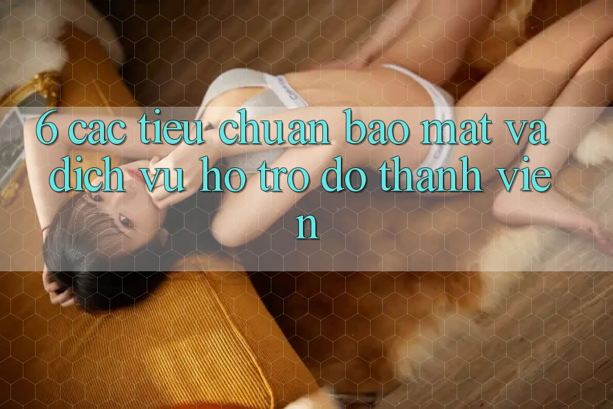 6. Các Tiêu Chuẩn Bảo Mật Và Dịch Vụ Hỗ trợ đỡ Thành viên