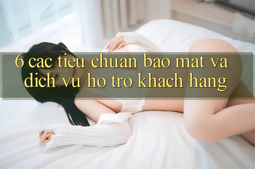 6. Các Tiêu Chuẩn Bảo Mật Và Dịch Vụ Hỗ Trợ Khách Hàng