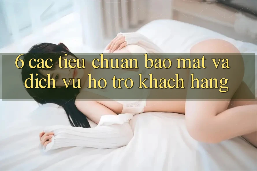 6. Các Tiêu Chuẩn Bảo Mật Và Dịch Vụ Hỗ Trợ Khách Hàng