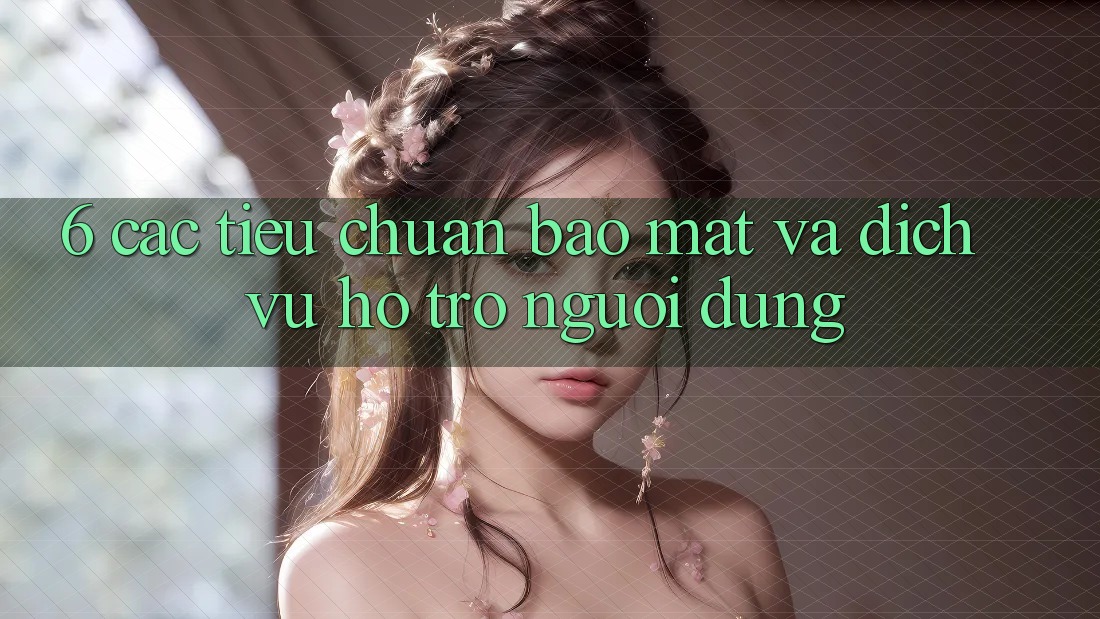 6. Các Tiêu Chuẩn Bảo Mật Và Dịch Vụ Hỗ Trợ Người dùng