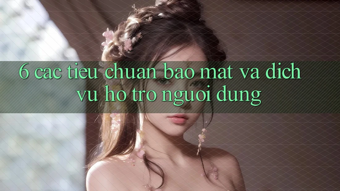 6. Các Tiêu Chuẩn Bảo Mật Và Dịch Vụ Hỗ trợ Người dùng