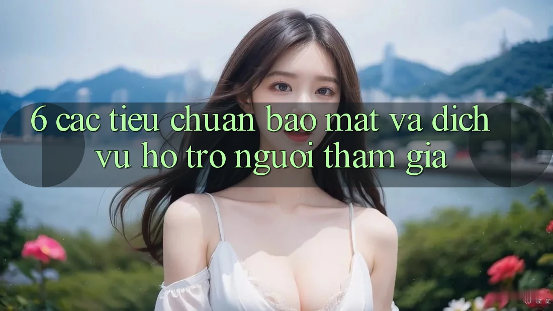 6. Các Tiêu Chuẩn Bảo Mật Và Dịch Vụ Hỗ Trợ Người tham gia