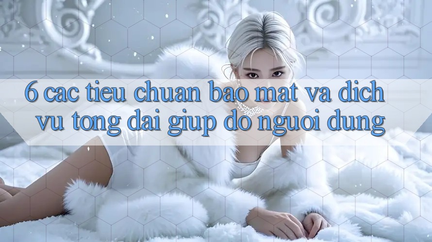 6. Các Tiêu Chuẩn Bảo Mật Và Dịch Vụ Tổng đài giúp đỡ Người dùng