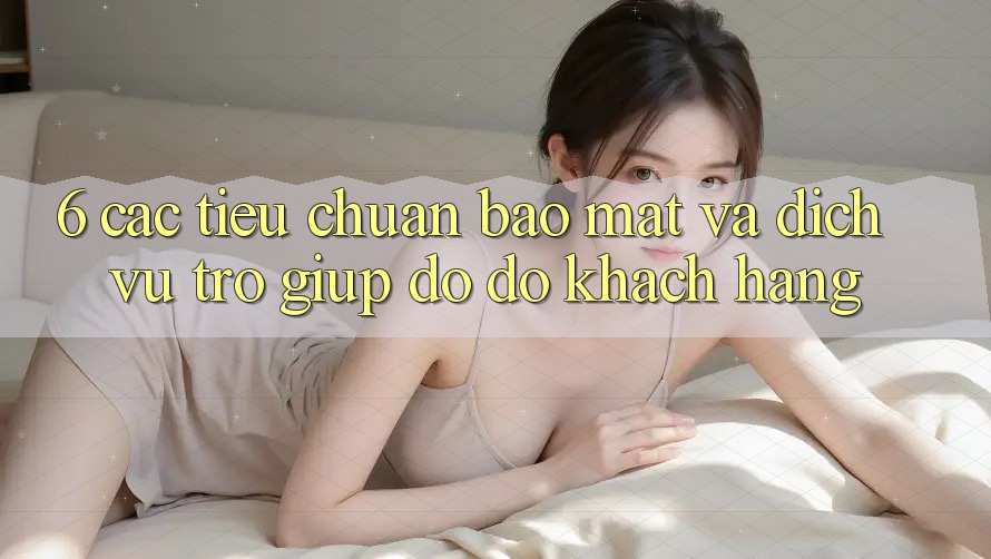 6. Các Tiêu Chuẩn Bảo Mật Và Dịch Vụ Trợ giúp đỡ đỡ Khách hàng