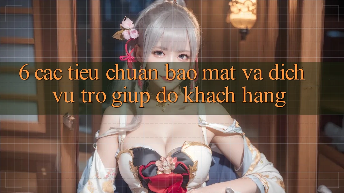 6. Các Tiêu Chuẩn Bảo Mật Và Dịch Vụ Trợ giúp đỡ Khách Hàng