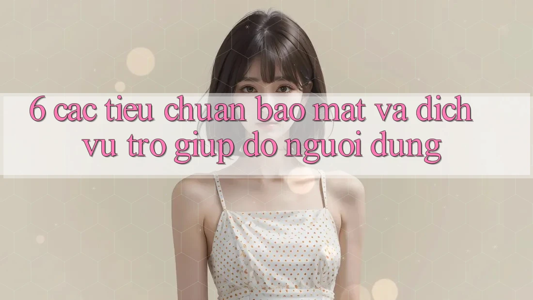 6. Các Tiêu Chuẩn Bảo Mật Và Dịch Vụ Trợ giúp đỡ Người dùng