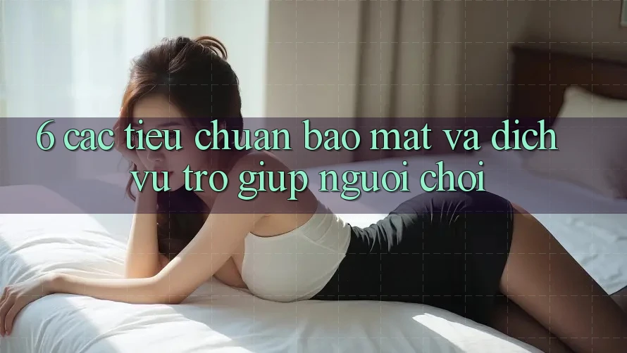 6. Các Tiêu Chuẩn Bảo Mật Và Dịch Vụ Trợ giúp Người chơi