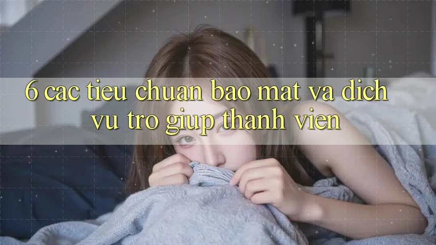 6. Các Tiêu Chuẩn Bảo Mật Và Dịch Vụ Trợ giúp Thành viên