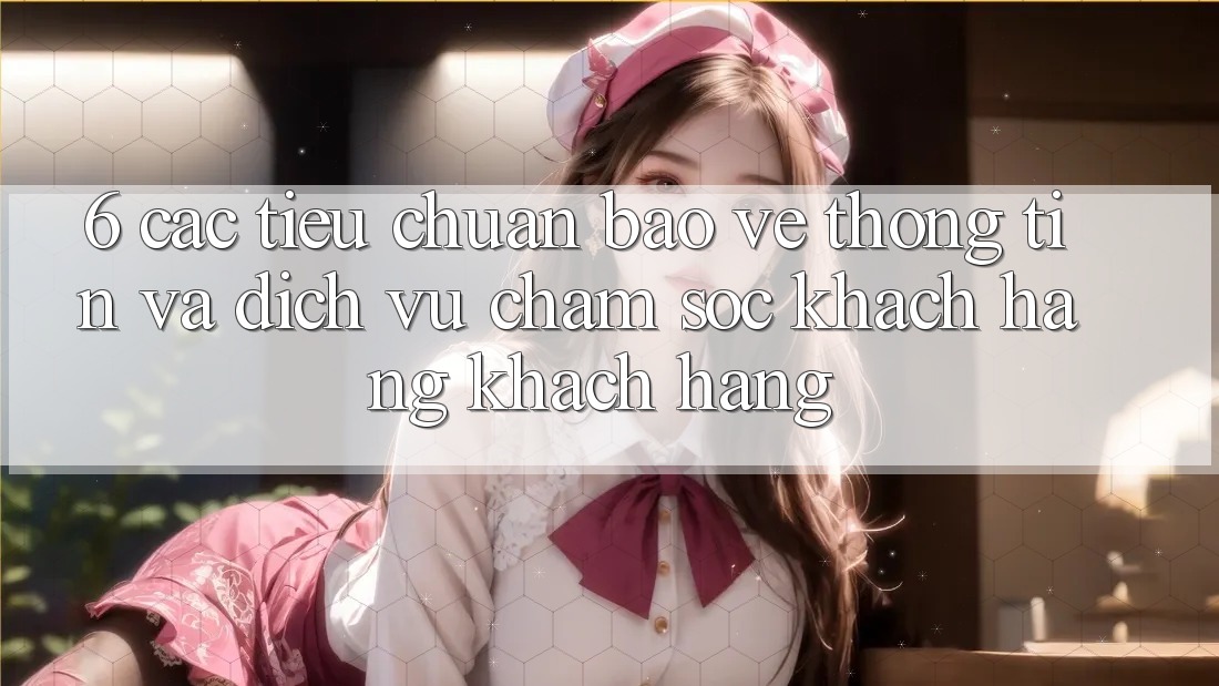 6. Các Tiêu Chuẩn Bảo vệ thông tin Và Dịch Vụ Chăm sóc khách hàng Khách Hàng