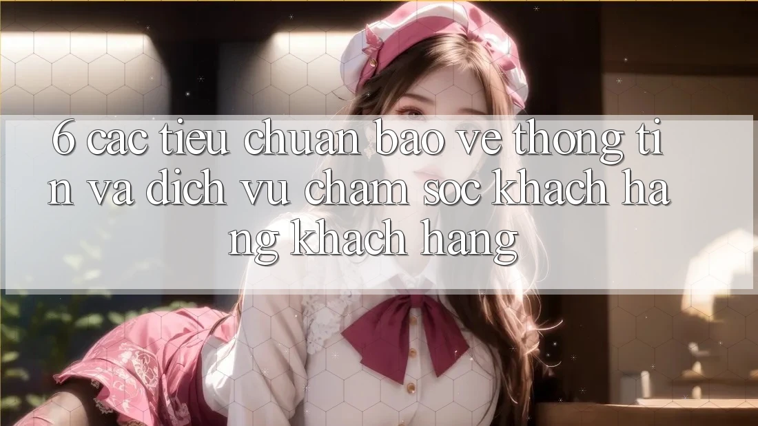 6. Các Tiêu Chuẩn Bảo vệ thông tin Và Dịch Vụ Chăm sóc khách hàng Khách Hàng