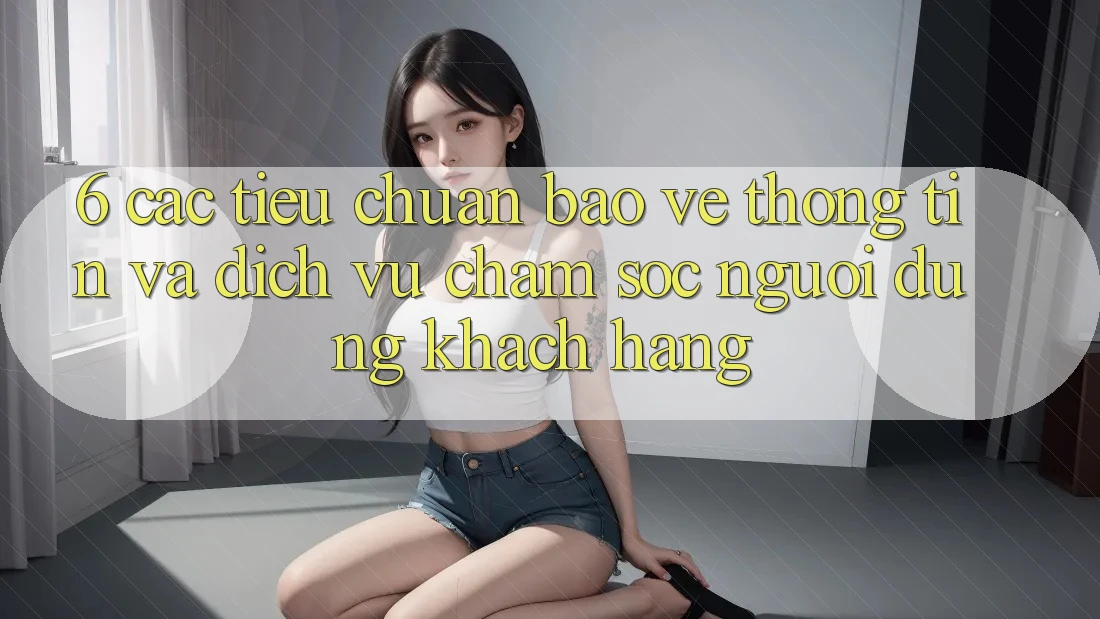 6. Các Tiêu Chuẩn Bảo vệ thông tin Và Dịch Vụ Chăm sóc người dùng Khách Hàng
