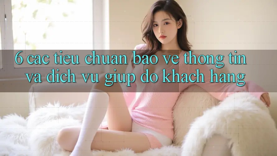 6. Các Tiêu Chuẩn Bảo vệ thông tin Và Dịch Vụ Giúp đỡ Khách Hàng