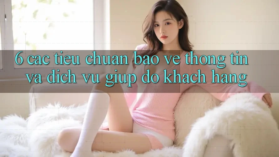 6. Các Tiêu Chuẩn Bảo vệ thông tin Và Dịch Vụ Giúp đỡ Khách Hàng