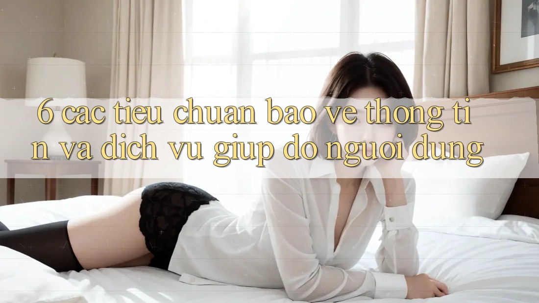 6. Các Tiêu Chuẩn Bảo vệ thông tin Và Dịch Vụ Giúp đỡ Người dùng