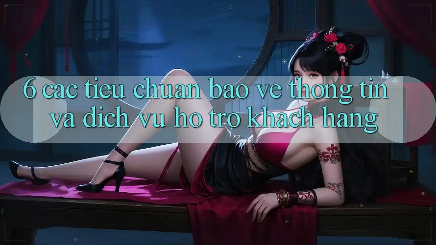 6. Các Tiêu Chuẩn Bảo vệ thông tin Và Dịch Vụ Hỗ Trợ Khách Hàng