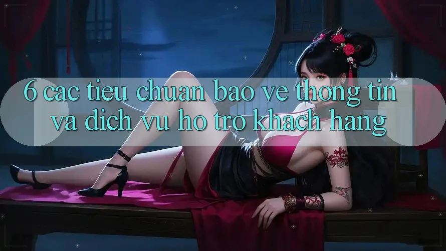 6. Các Tiêu Chuẩn Bảo vệ thông tin Và Dịch Vụ Hỗ Trợ Khách Hàng
