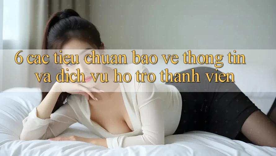 6. Các Tiêu Chuẩn Bảo vệ thông tin Và Dịch Vụ Hỗ Trợ Thành viên