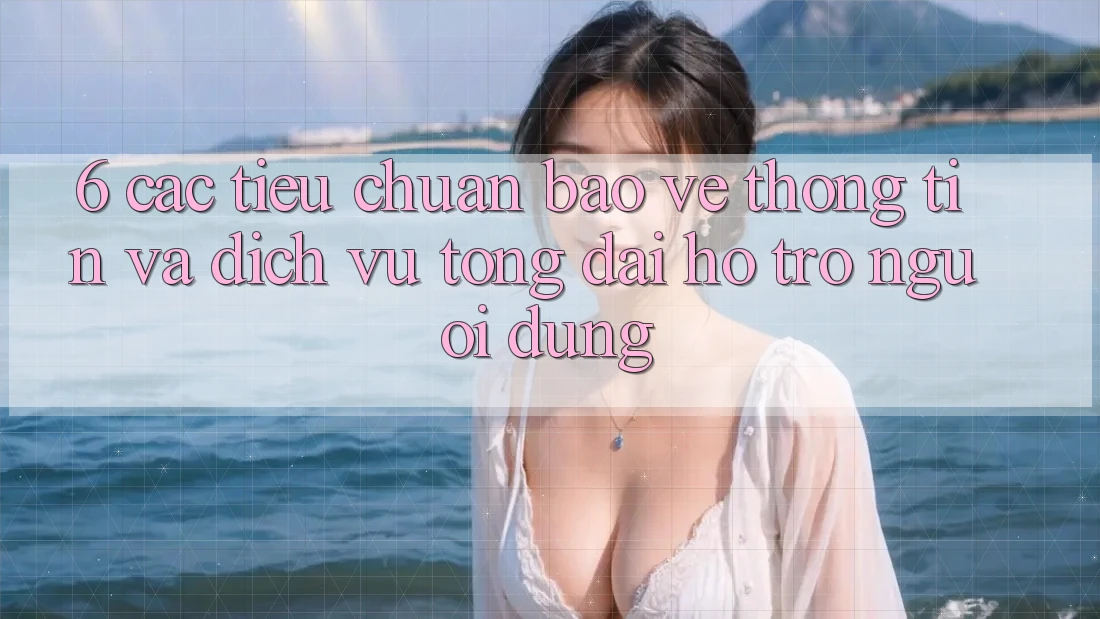 6. Các Tiêu Chuẩn Bảo vệ thông tin Và Dịch Vụ Tổng đài hỗ trợ Người dùng