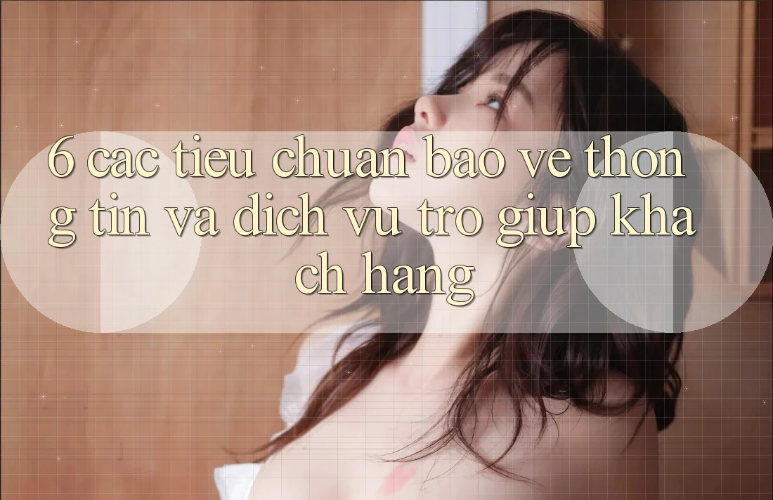 6. Các Tiêu Chuẩn Bảo vệ thông tin Và Dịch Vụ Trợ giúp Khách Hàng