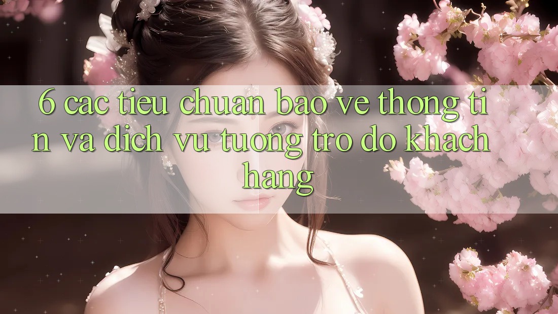 6. Các Tiêu Chuẩn Bảo vệ thông tin Và Dịch Vụ Tương trợ đỡ Khách Hàng