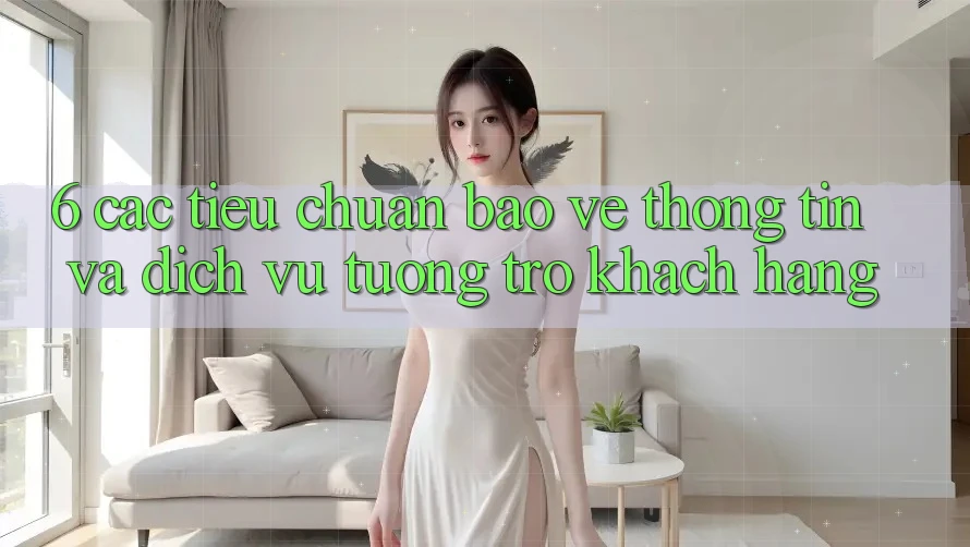6. Các Tiêu Chuẩn Bảo vệ thông tin Và Dịch Vụ Tương trợ Khách Hàng