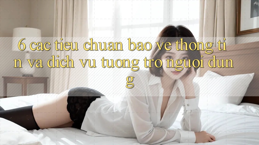 6. Các Tiêu Chuẩn Bảo vệ thông tin Và Dịch Vụ Tương trợ Người dùng