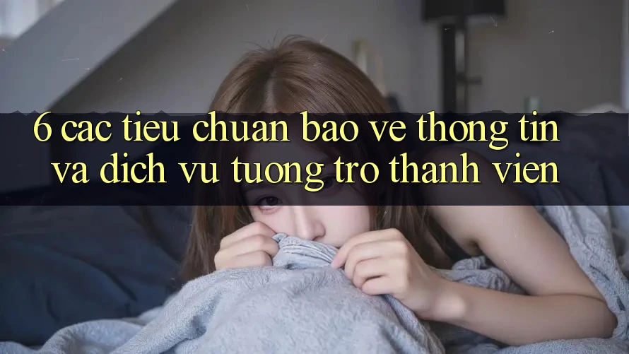 6. Các Tiêu Chuẩn Bảo vệ thông tin Và Dịch Vụ Tương trợ Thành viên
