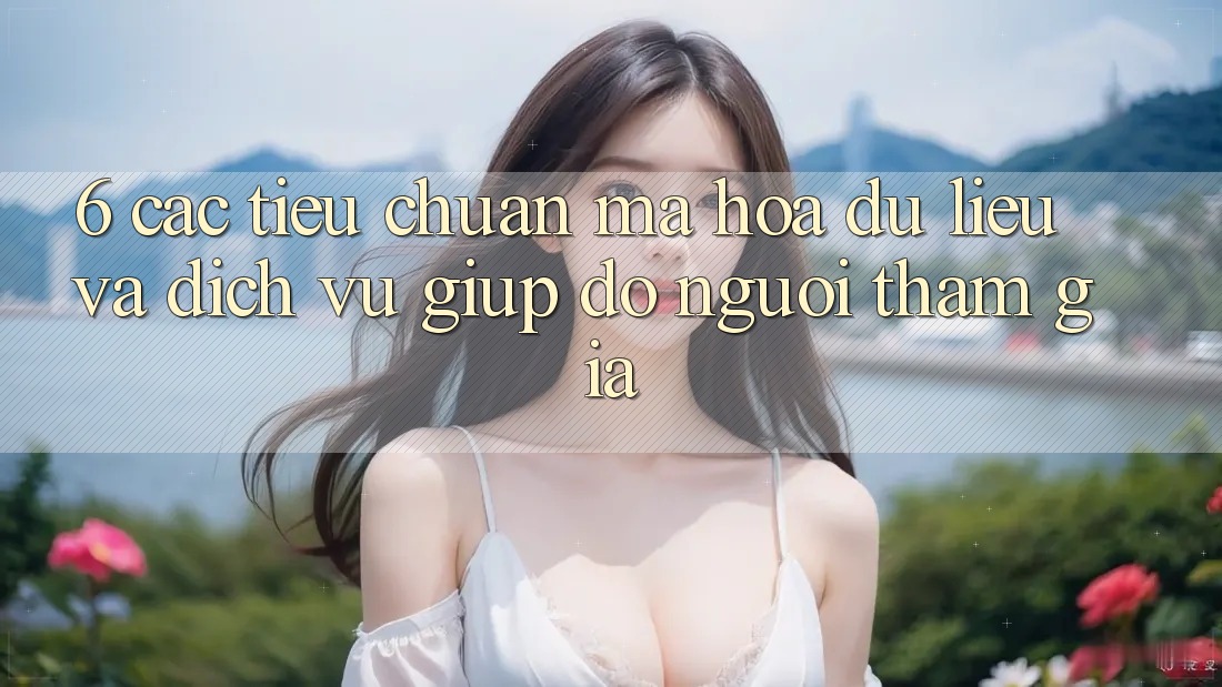 6. Các Tiêu Chuẩn Mã hóa dữ liệu Và Dịch Vụ Giúp đỡ Người tham gia