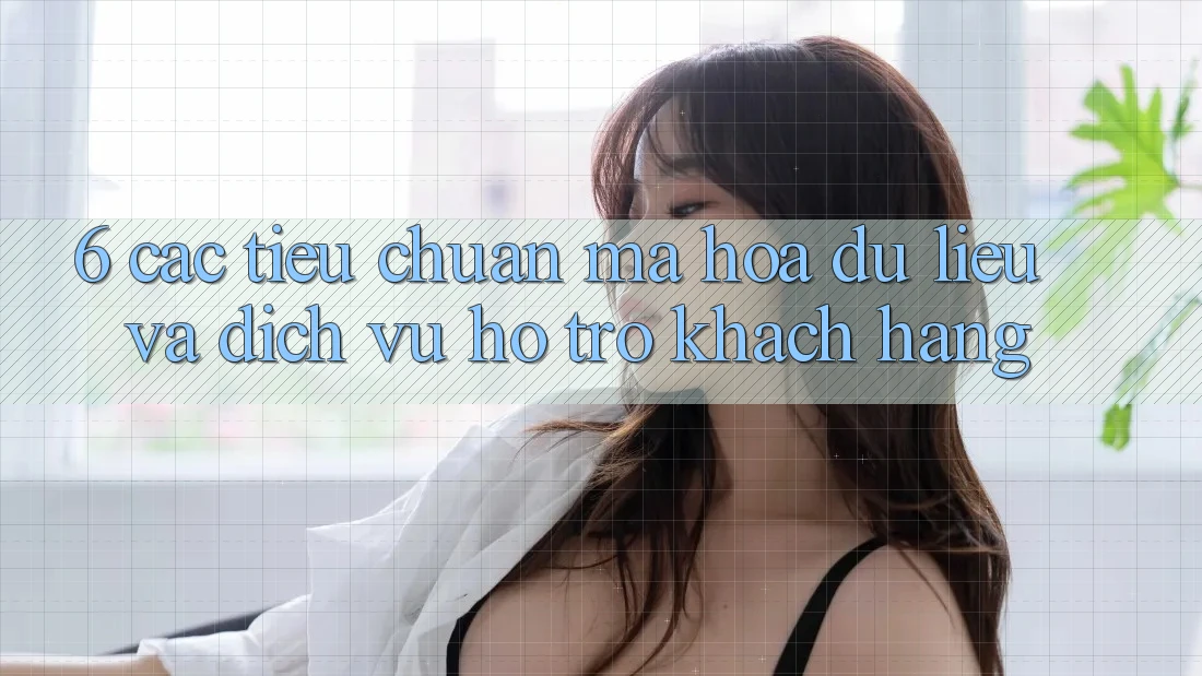 6. Các Tiêu Chuẩn Mã hóa dữ liệu Và Dịch Vụ Hỗ Trợ Khách Hàng