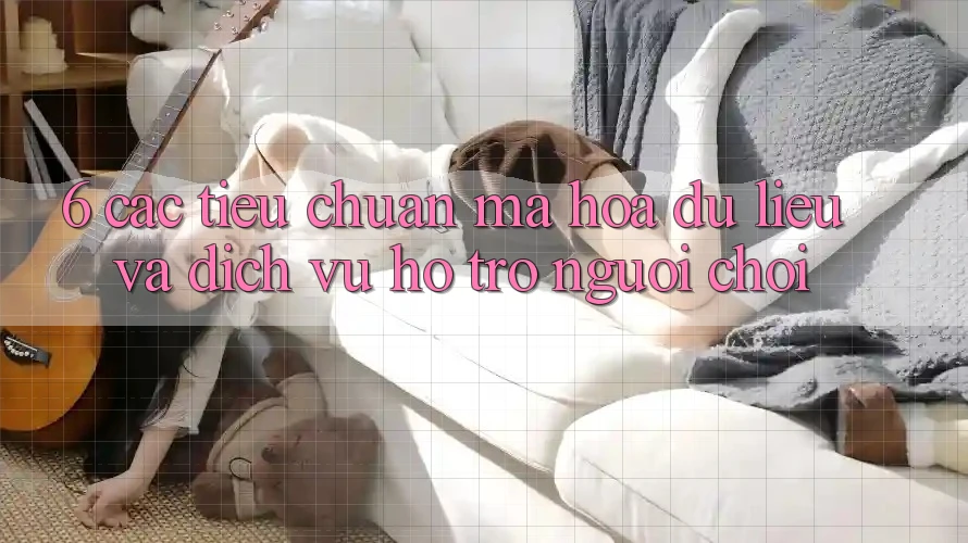 6. Các Tiêu Chuẩn Mã hóa dữ liệu Và Dịch Vụ Hỗ Trợ Người chơi