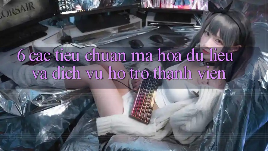 6. Các Tiêu Chuẩn Mã hóa dữ liệu Và Dịch Vụ Hỗ Trợ Thành viên