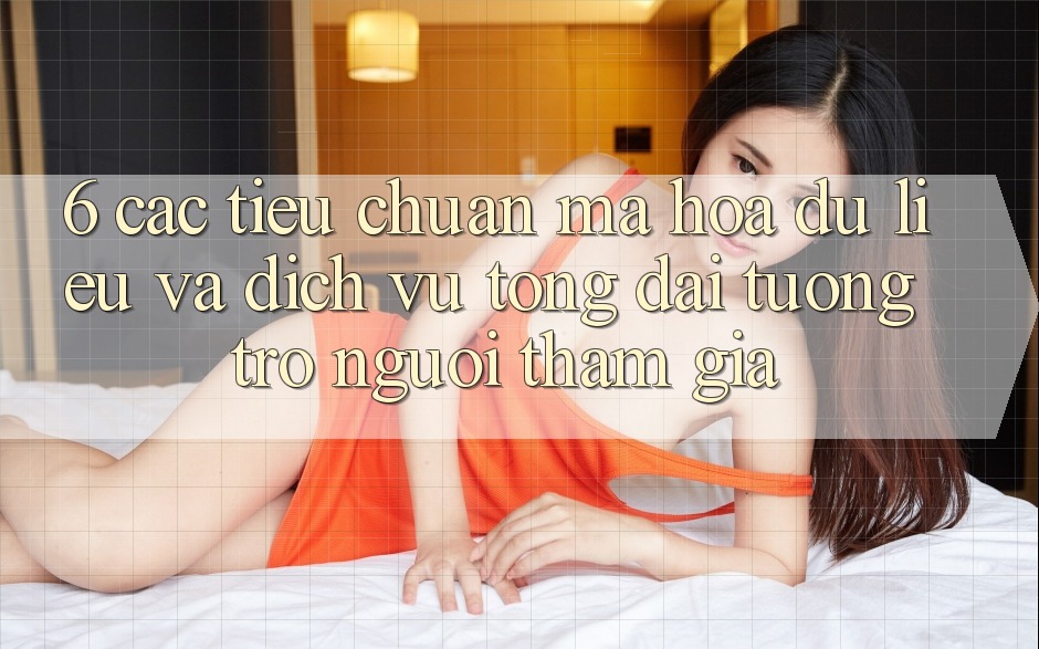 6. Các Tiêu Chuẩn Mã hóa dữ liệu Và Dịch Vụ Tổng đài tương trợ Người tham gia