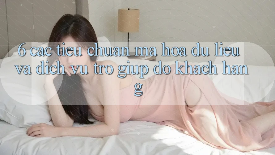 6. Các Tiêu Chuẩn Mã hóa dữ liệu Và Dịch Vụ Trợ giúp đỡ Khách Hàng