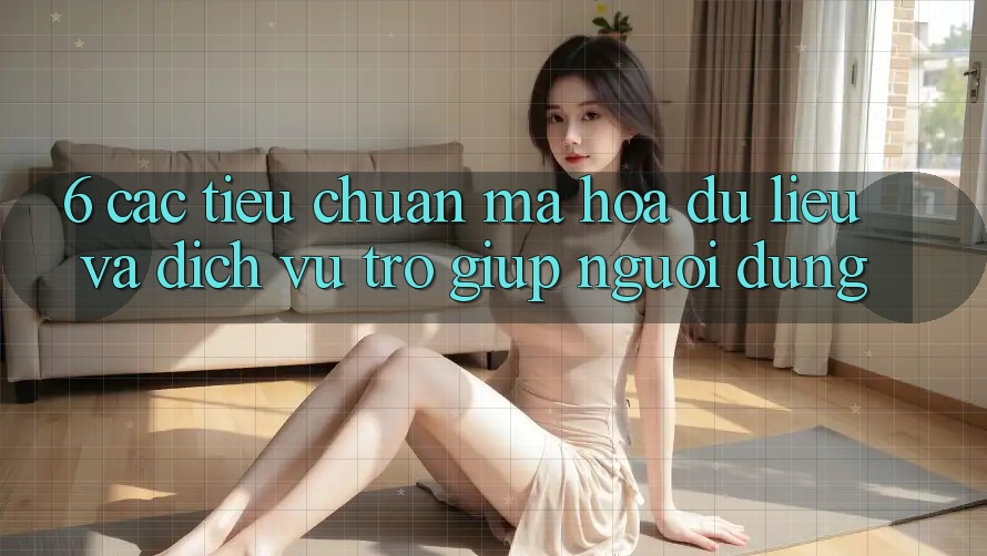 6. Các Tiêu Chuẩn Mã hóa dữ liệu Và Dịch Vụ Trợ giúp Người dùng