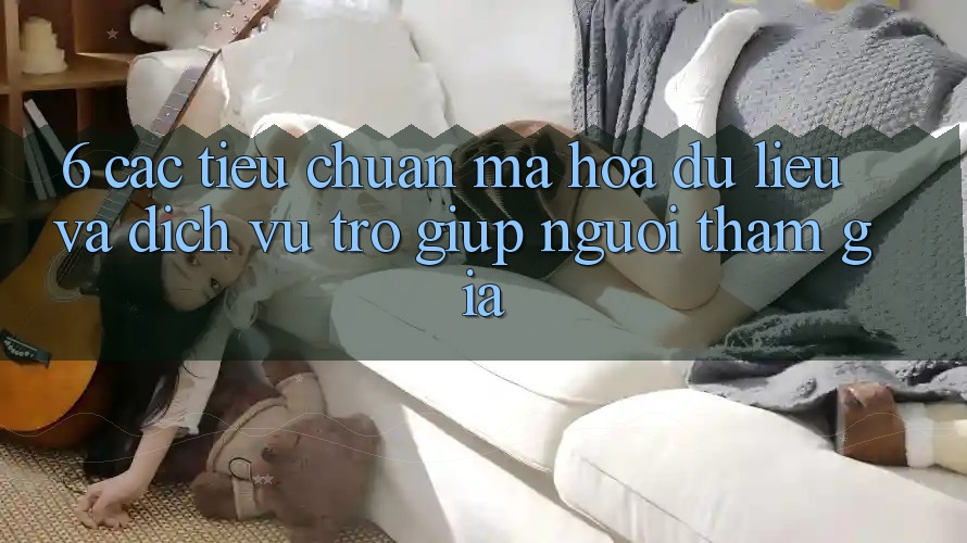 6. Các Tiêu Chuẩn Mã hóa dữ liệu Và Dịch Vụ Trợ giúp Người tham gia
