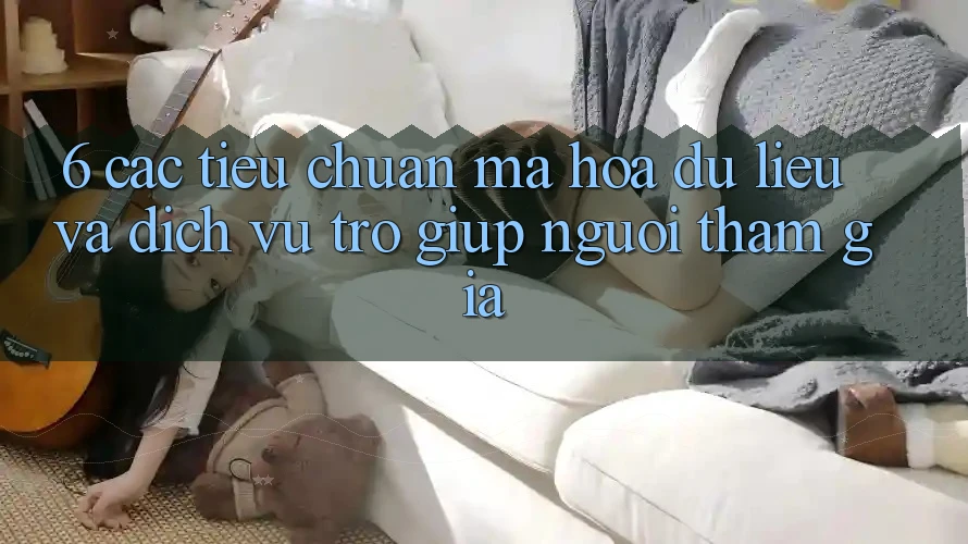 6. Các Tiêu Chuẩn Mã hóa dữ liệu Và Dịch Vụ Trợ giúp Người tham gia