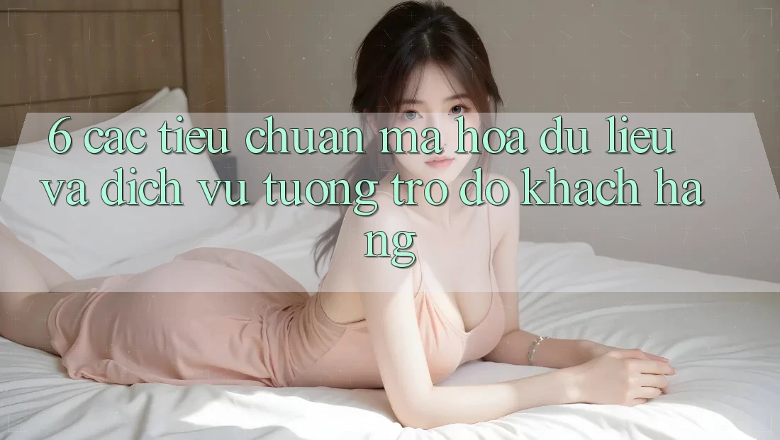 6. Các Tiêu Chuẩn Mã hóa dữ liệu Và Dịch Vụ Tương trợ đỡ Khách Hàng