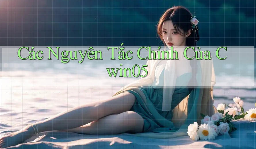Các Nguyên Tắc Chính Của Cwin05