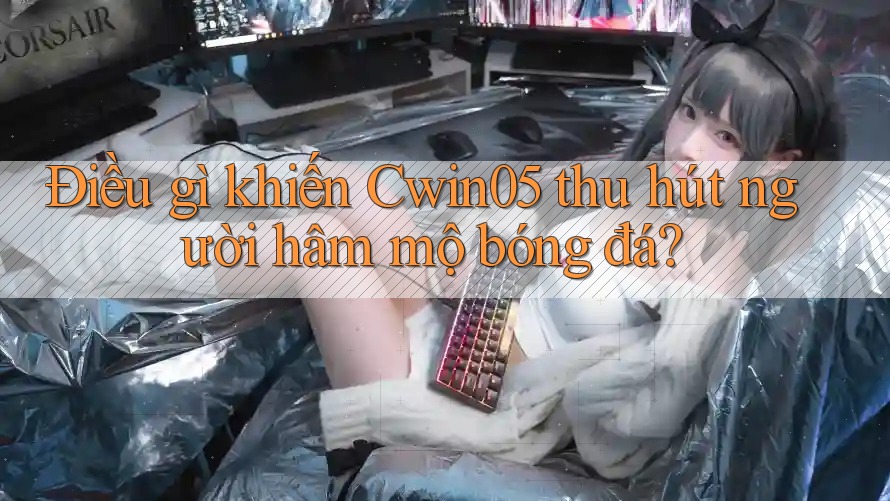 Điều gì khiến Cwin05 thu hút người hâm mộ bóng đá?